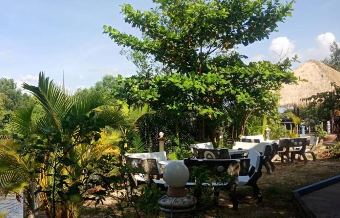 Banyan Tree 1 Banyan Tree