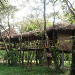 Neptune River Bungalows