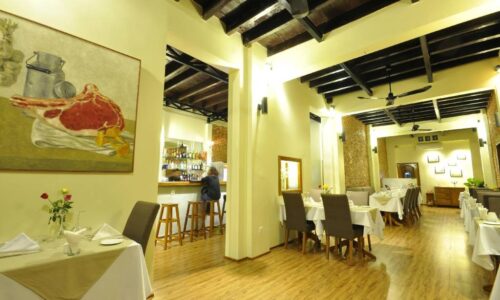 Olive Cuisine de Saison