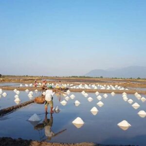 Salt Pans