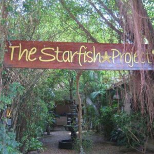 Starfish Shop