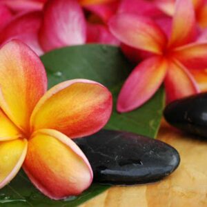 The Plumeria Spa